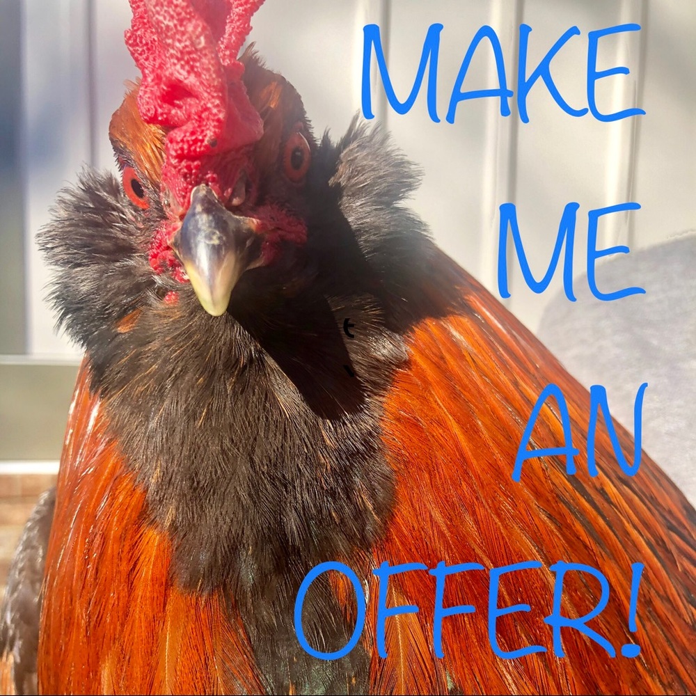 Meet your Posher, Tracy